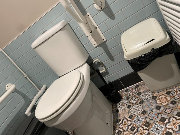 Image of an accessible toilet with a grabrail