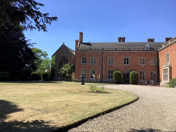 Lawn looks as if it is being looked after and shrubs have been pruned