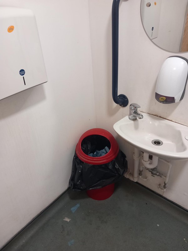 Image of a red bin can next to a sink with grabrails