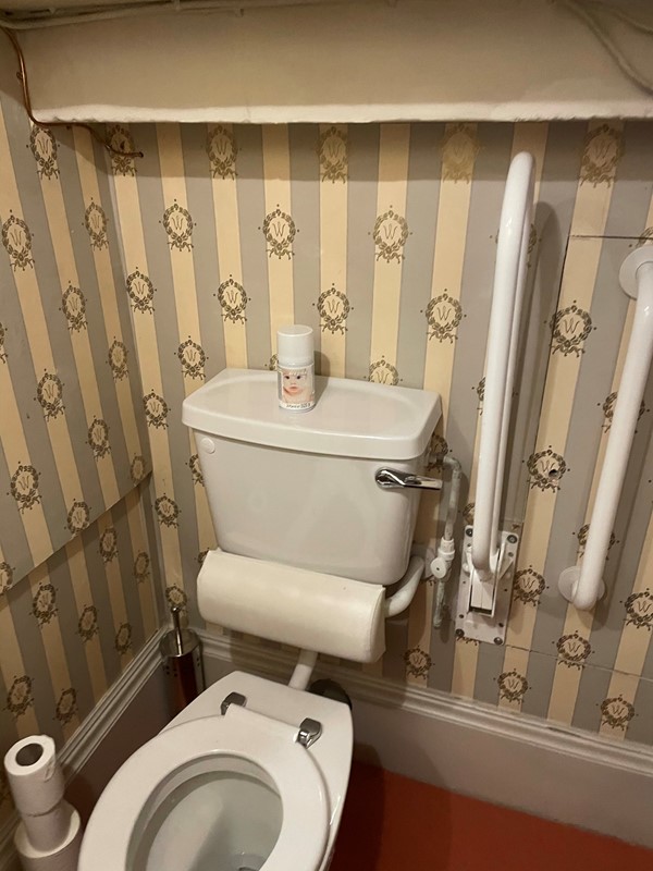 Picture of an accessible toilet