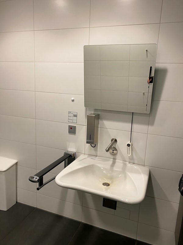 Picture of the accessible toilet