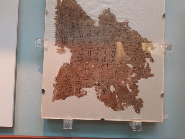 Actual papyrus and hyroglyphics