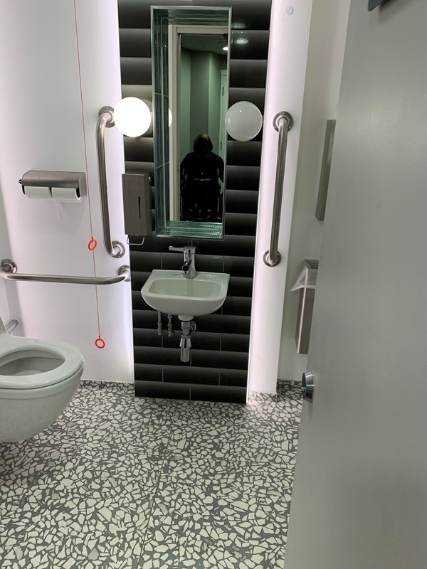 Picture of Sadler's Wells Theatre's accessible Toilet