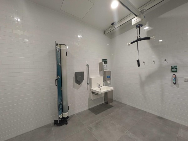 Image of the toilet, showing the hoist, mirror, and sink.