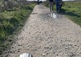 Nearest beach is accessed by a compacted fitted path