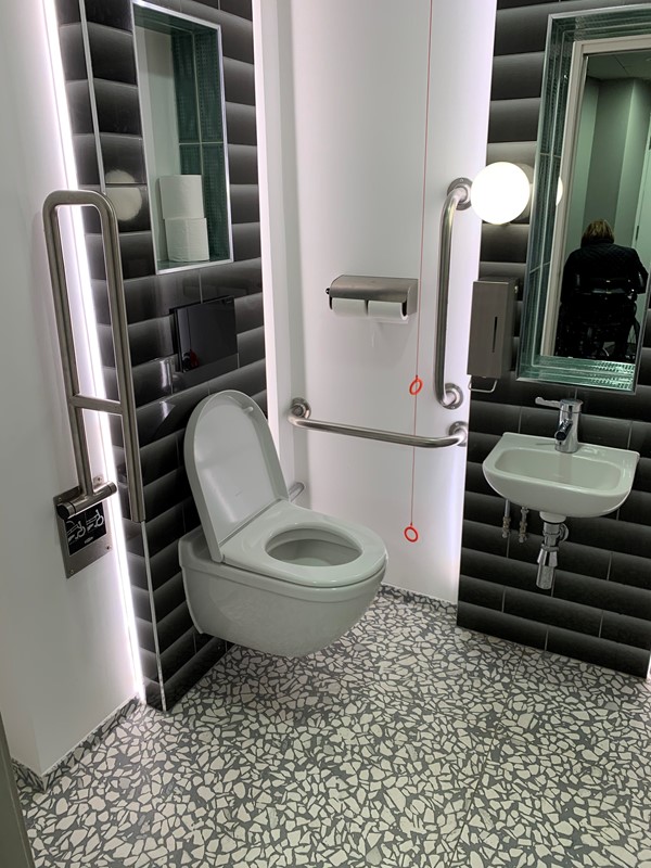 Picture of Sadler's Wells Theatre's accessible Toilet