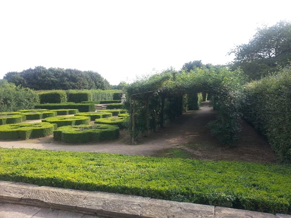 The garden