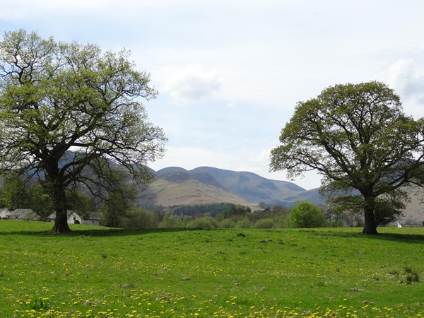 Alongside the river, cinder path and well worth it.