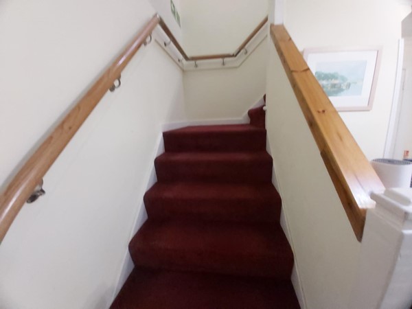 Image of carpeted stairs