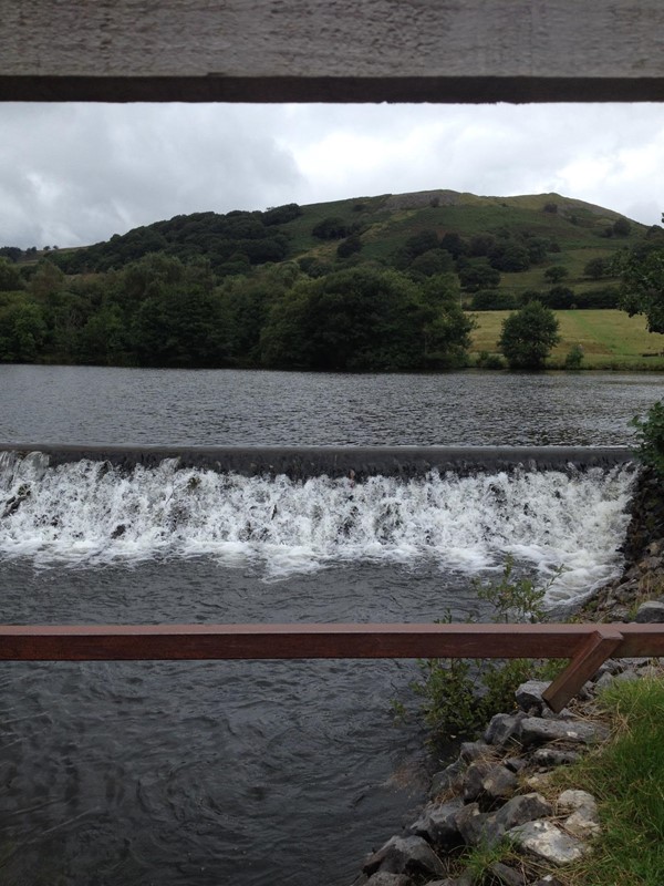 Picture of Dare Valley Country Park