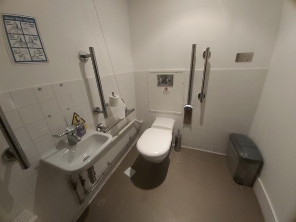 Image of an accessible toilet with grabrails and a sink