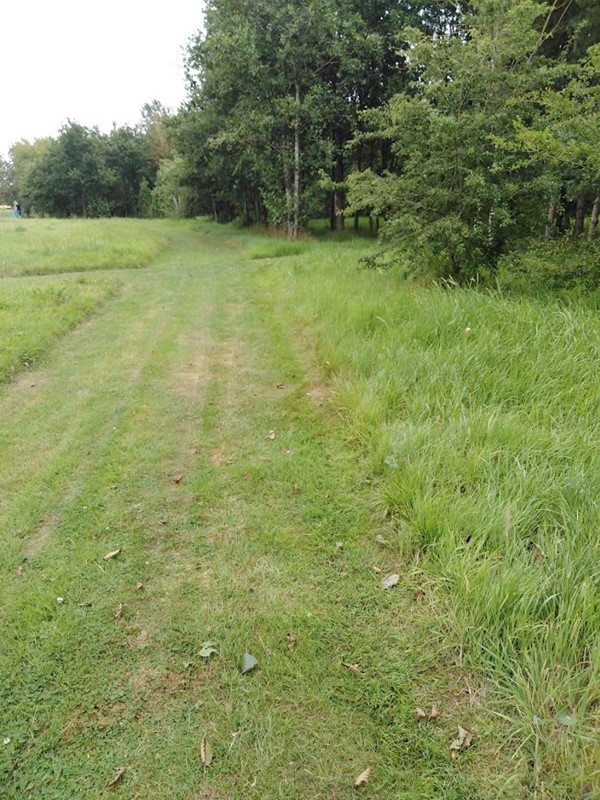 One of the grass paths.