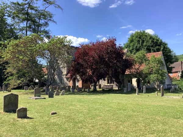 Picture of a sparsely populated graveyard