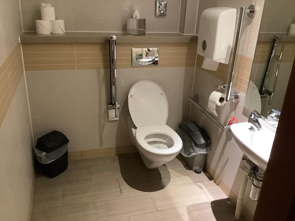 Accessible toilet