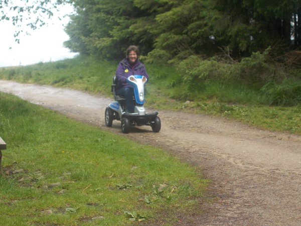 Picture of Beacon Fell Country Park