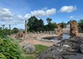 Image of  an elephant in an enclosure