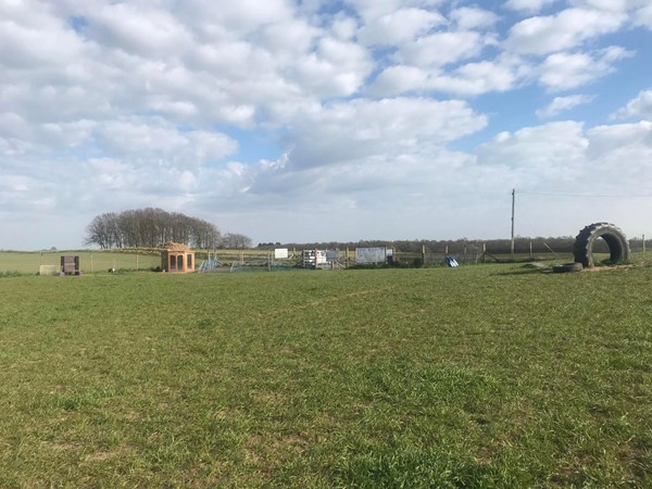 Image of the dog park field.