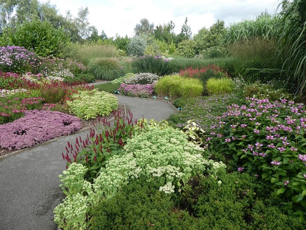 The September Garden at its peak