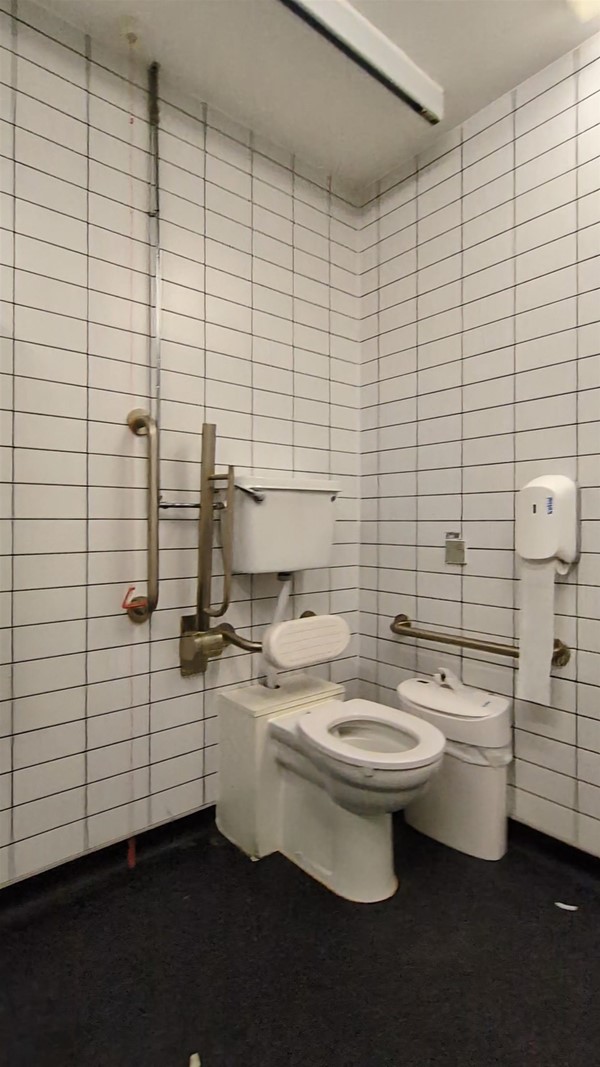 image of toilet and grabrails  in the Changing Places toilet