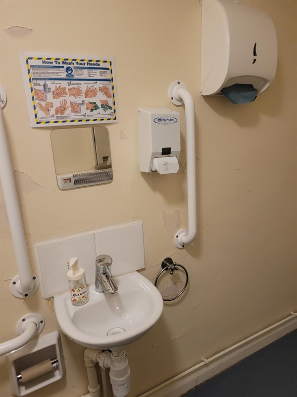 Image of a sink and a grab rail