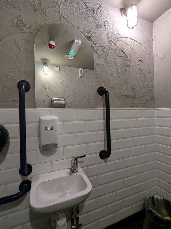 Image of sink in the accessible toilet