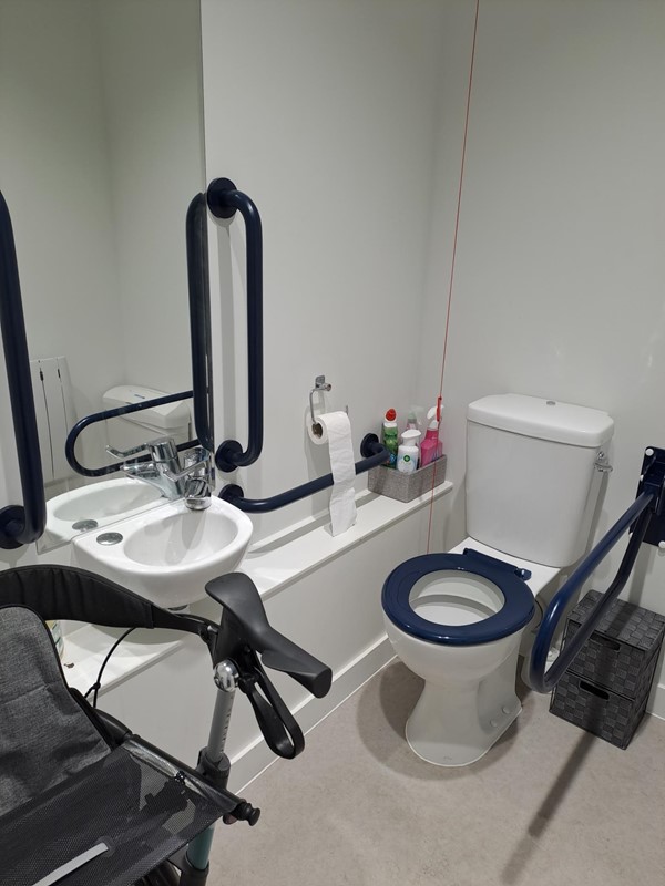 Image of an accessible toilet with a sink and grabrails