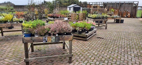 Picture of Soleburn Garden Centre