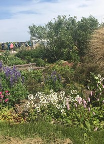 Nort Trow Community Garden