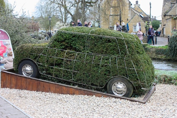 Privet hedge in the shape of a mini, outside the museum