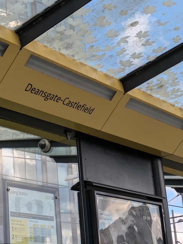 Image of the shelter on the tram platform