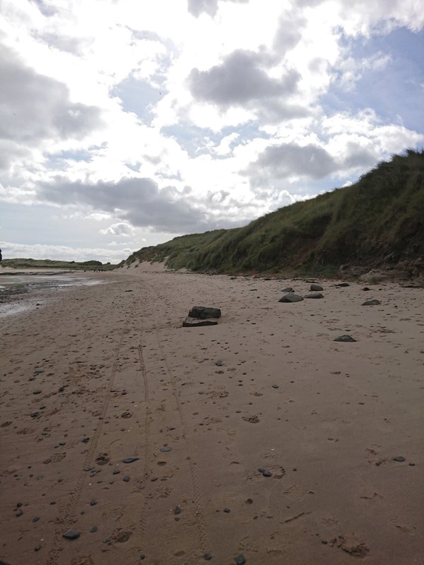 Picture of St Aidan's Dunes