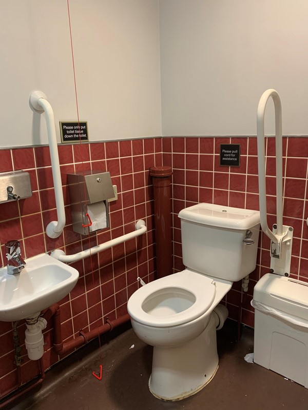 Overview of toilet showing sink, handrails, toilet, red cord and some floor space