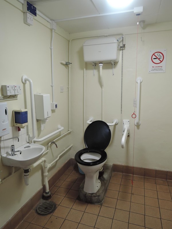 Accessible toilet