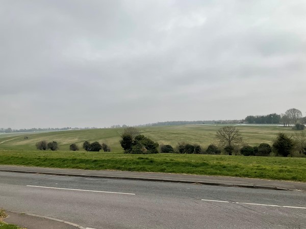 Picture of Epsom Downs Racecourse