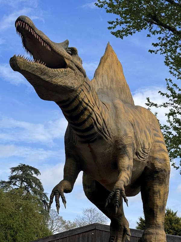 Image of a dinosaur