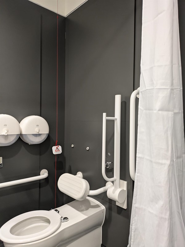 Image of accessible toilet, privacy curtain and toilet seat with grab rails