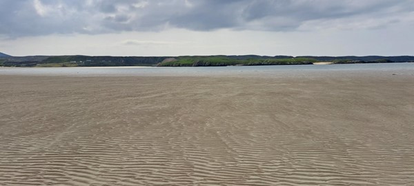 Showing a small part of the beach looking towards the sea.