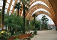 Inside the Sheffield Winter Garden