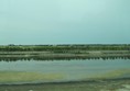 Salt fields taken from the bus