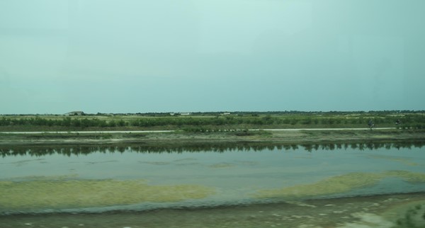 Salt fields taken from the bus