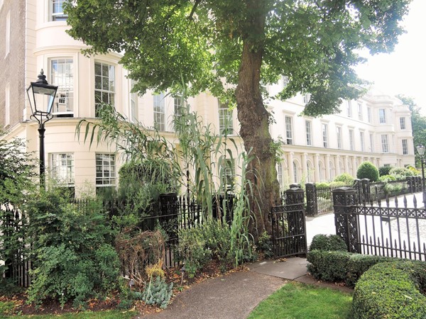 The small gardens in front of the row of houses are part of the College's gardens