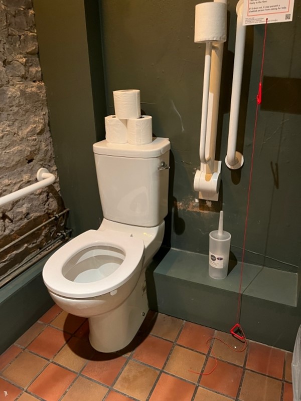 Image of an accessible toilet