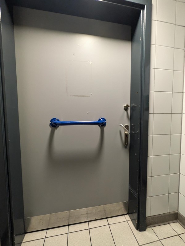 Grab rail on the rear of toilet door