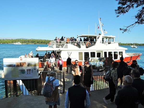 Ferry arriving at the island