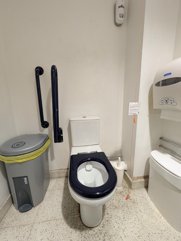 Image of accessible toilet