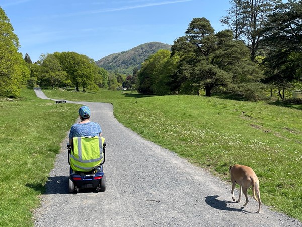 Picture of people on the path