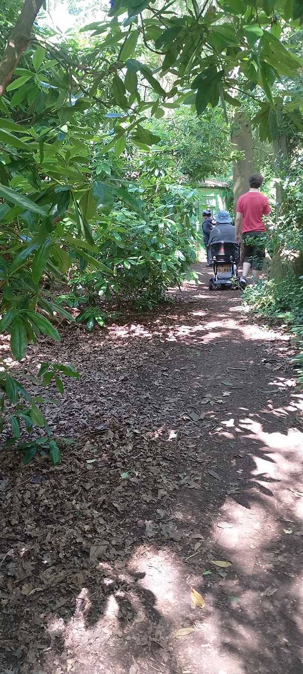 People walking and driving a mobility scooter along the pathway.