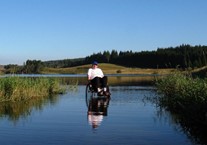 Disabled Access Day 2019 at Calvert Trust Kielder