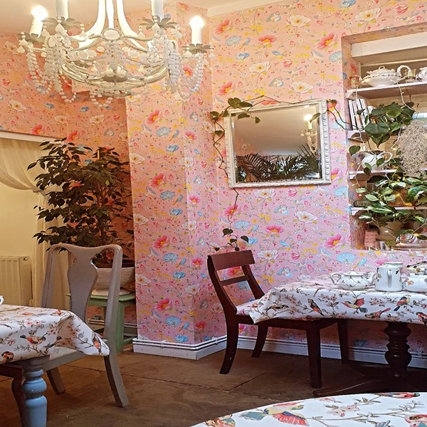 Image of the Poppy Rose Tea Room interior