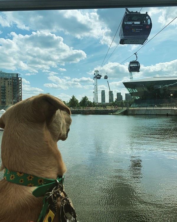 IFS Cloud Greenwich Peninsula